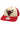 Mitchell & Ness Vintage Block Trucker Cap CHICAGO BULLS Cream Beige Rot